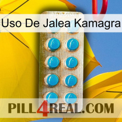 Kamagra Jelly Use new09